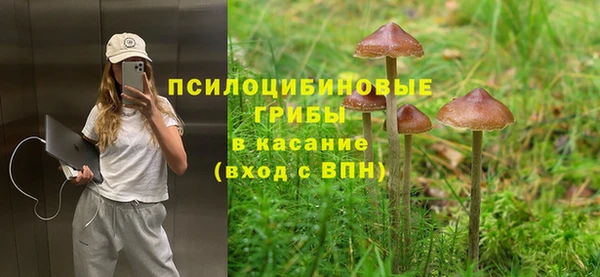 крисы Волоколамск