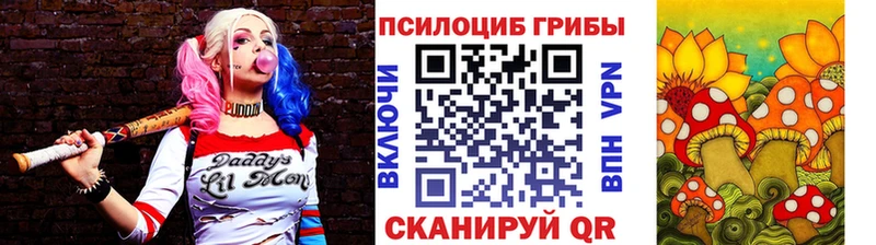 Купить где Ужур Галлюциногенные грибы Psilocybine cubensis